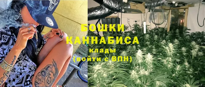 Шишки марихуана OG Kush  Дивногорск 